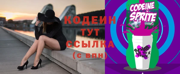 PSILOCYBIN Карталы