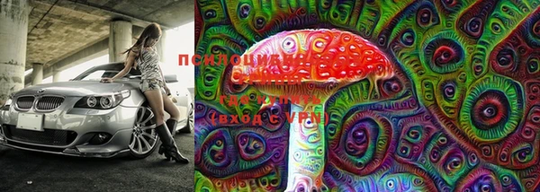 PSILOCYBIN Карталы