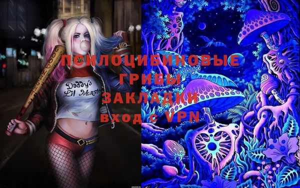PSILOCYBIN Карталы