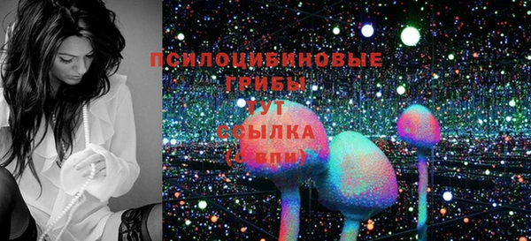 PSILOCYBIN Карталы