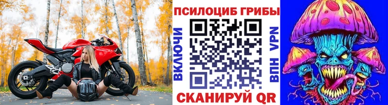 Галлюциногенные грибы Psilocybine cubensis  Купить где  Бузулук 